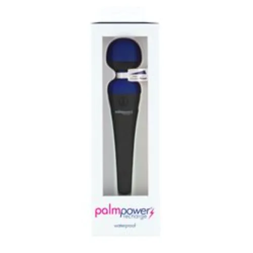 PalmPower RECHARGE Wand Massager Clitoral Stimulator Vibrator Palm Power Sex Toy