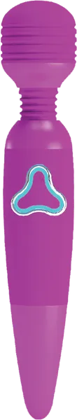 Rechargable Body Wand (Roxy) - Purple
